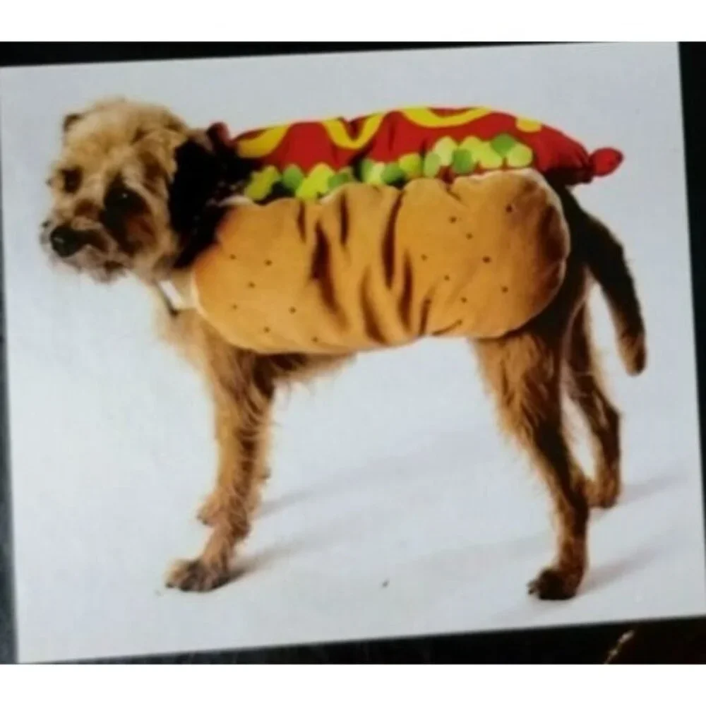 Bailey and Bella Companion Couture Large Hot Dog Halloween Pet Costume